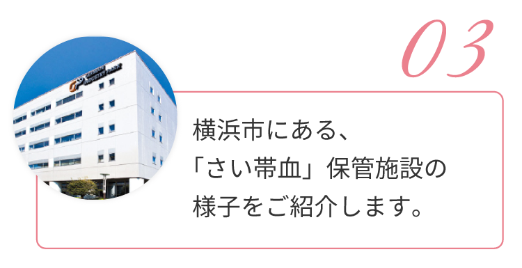 03.横浜市にある、「さい帯血」保管施設の様子をご紹介します。