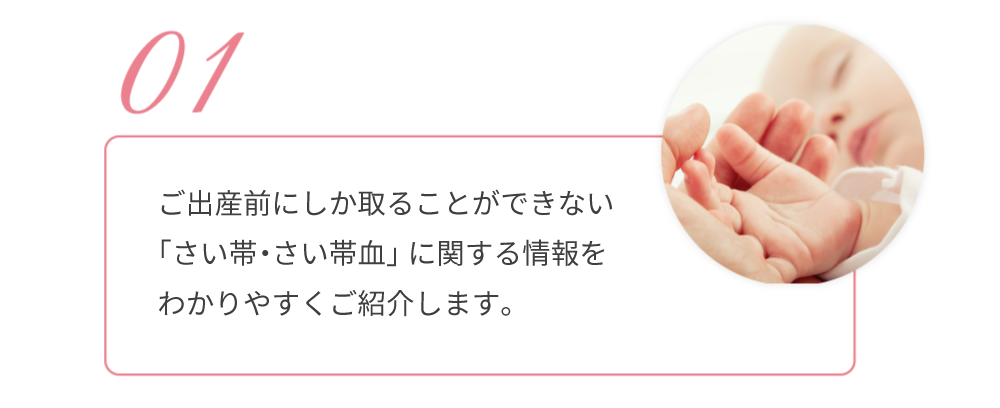 01.ご出産前にしか取ることができない「さい帯血」に関する情報をわかりやすくご紹介します。