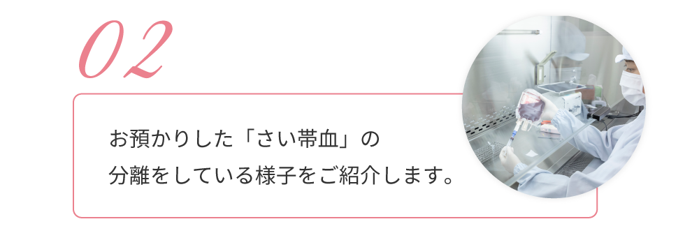 02.お預かりした「さい帯血」の分離をしている様子をご紹介します。