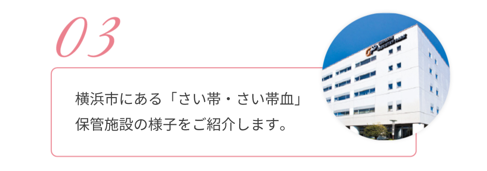 03.横浜市にある、「さい帯血」保管施設の様子をご紹介します。