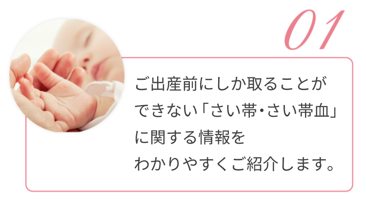 01.ご出産前にしか取ることができない「さい帯血」に関する情報をわかりやすくご紹介します。