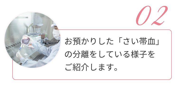 02.お預かりした「さい帯血」の分離をしている様子をご紹介します。