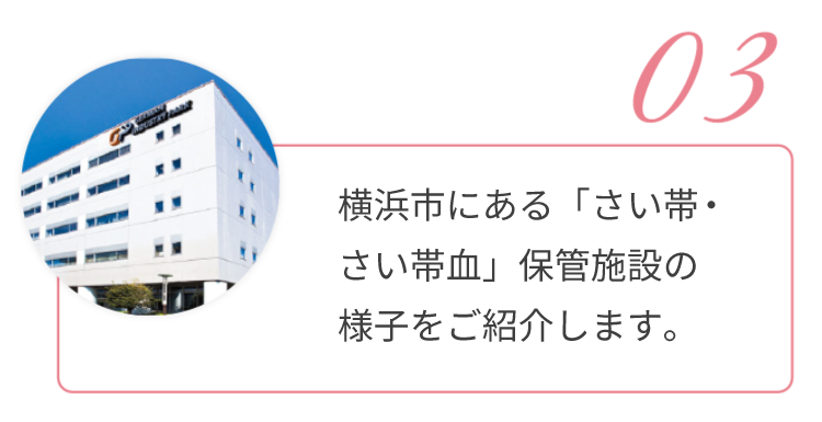 03.横浜市にある、「さい帯血」保管施設の様子をご紹介します。