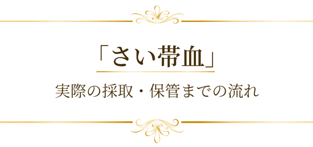 「さい帯血」　実際の採取・保管までの流れ